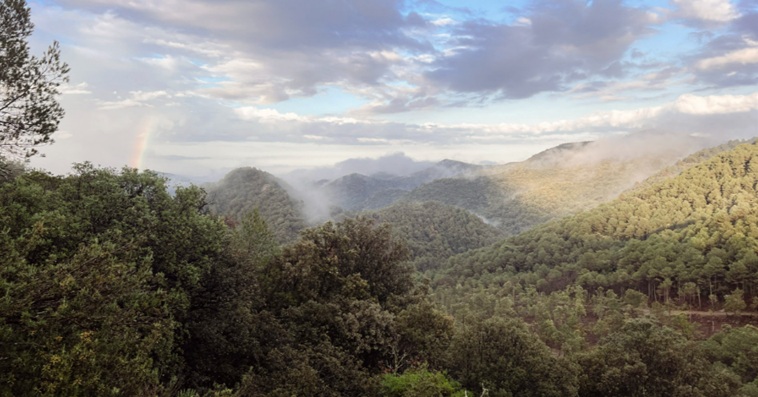 Alta Garrotxa
